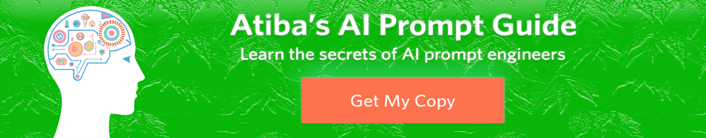AI Prompt Guide