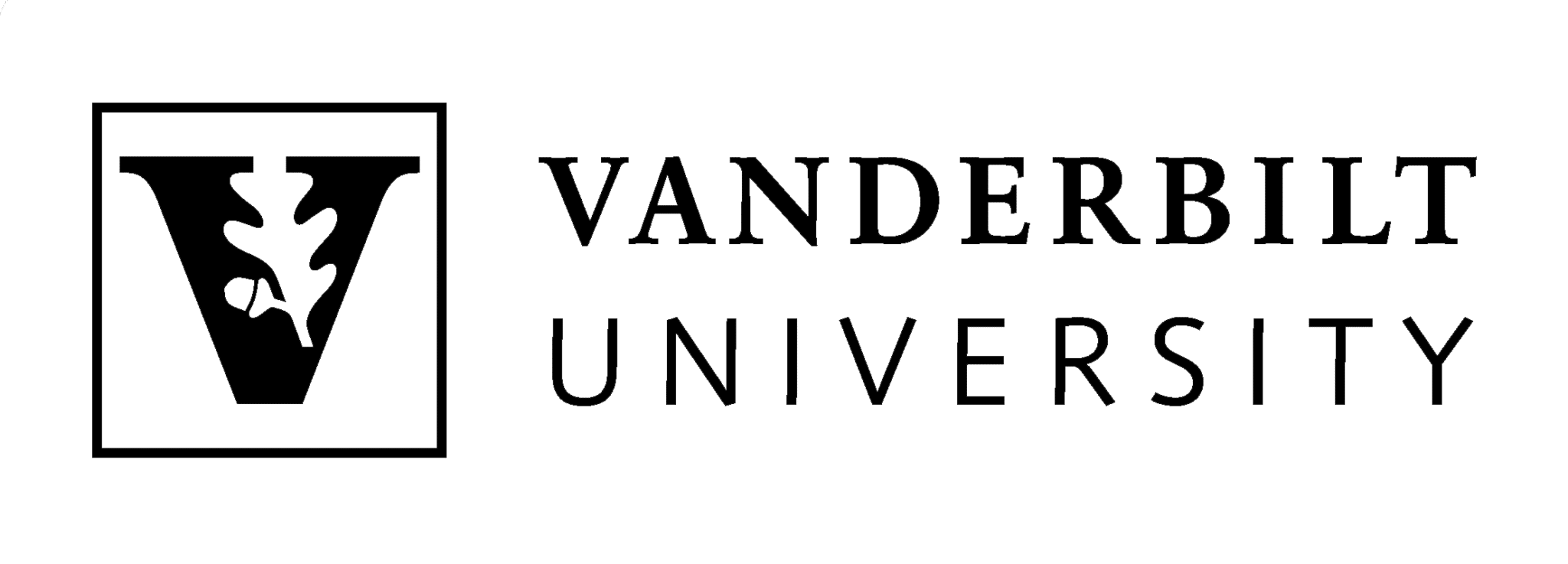 VanderbiltUniversity black
